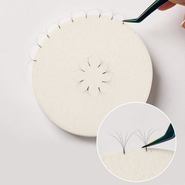 Eyelash sponge