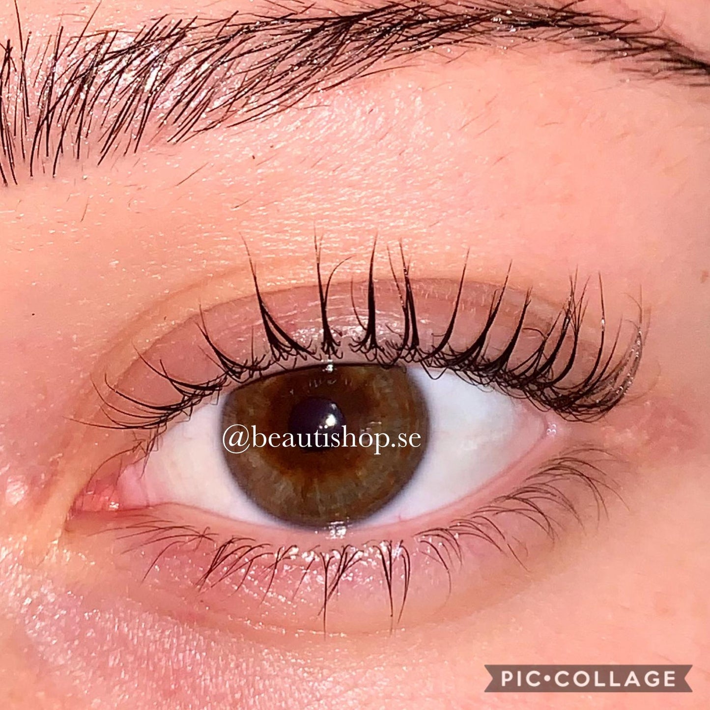 Beautastic - Eyelash Serum