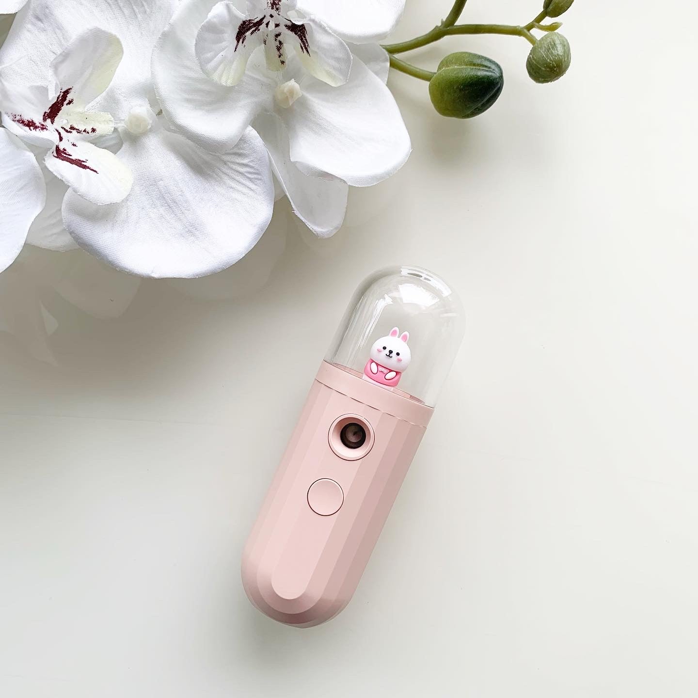 Nano mist Pet