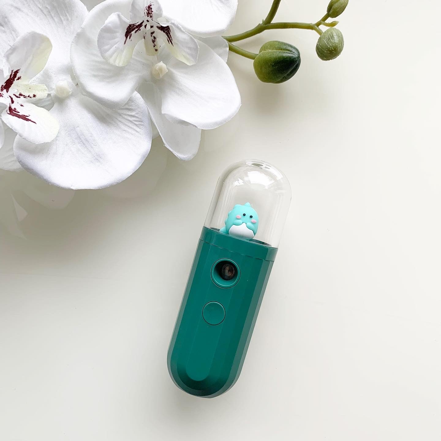 Nano mist Pet
