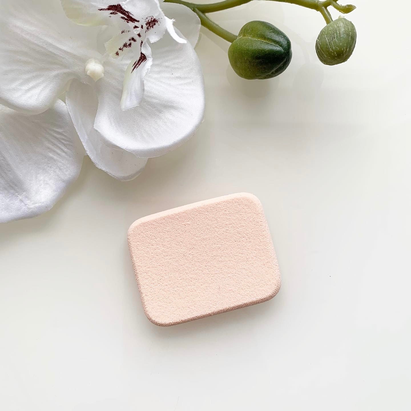 Eyelash sponge